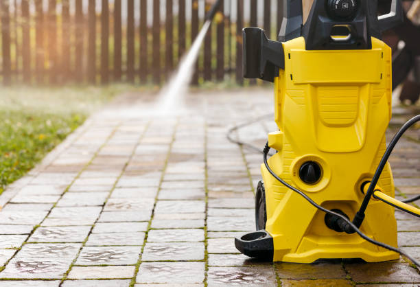 Animal Enclosure Cleaning in Jonesboro, GA